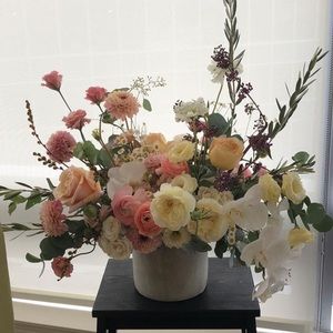 Meet your Posher, Frankie